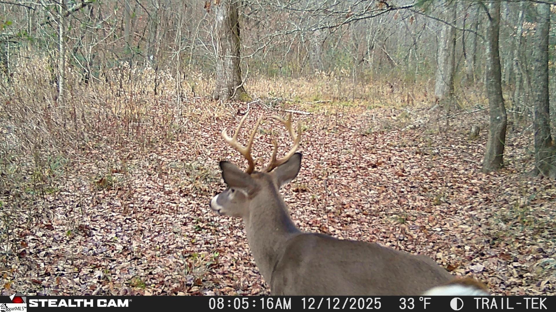 1254 Stribling Shoals Road Walhalla, SC 29691 - Photo 24 of 36