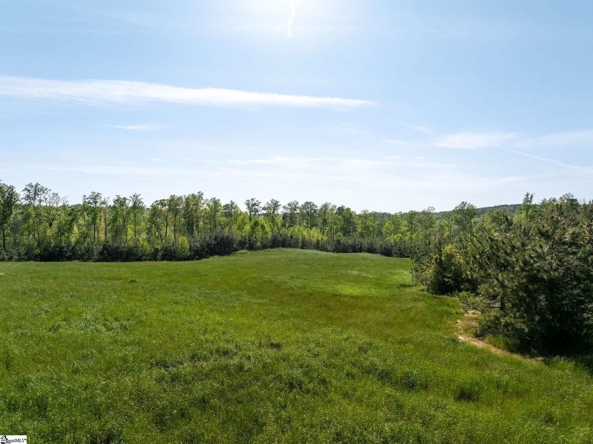 1254 Stribling Shoals Road Walhalla, SC 29691 - Photo 4 of 36