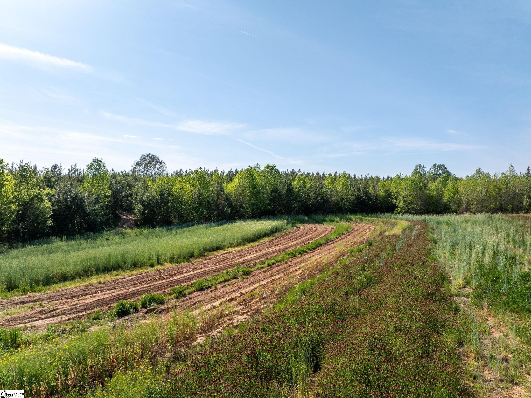 1254 Stribling Shoals Road Walhalla, SC 29691 - Photo 7 of 36