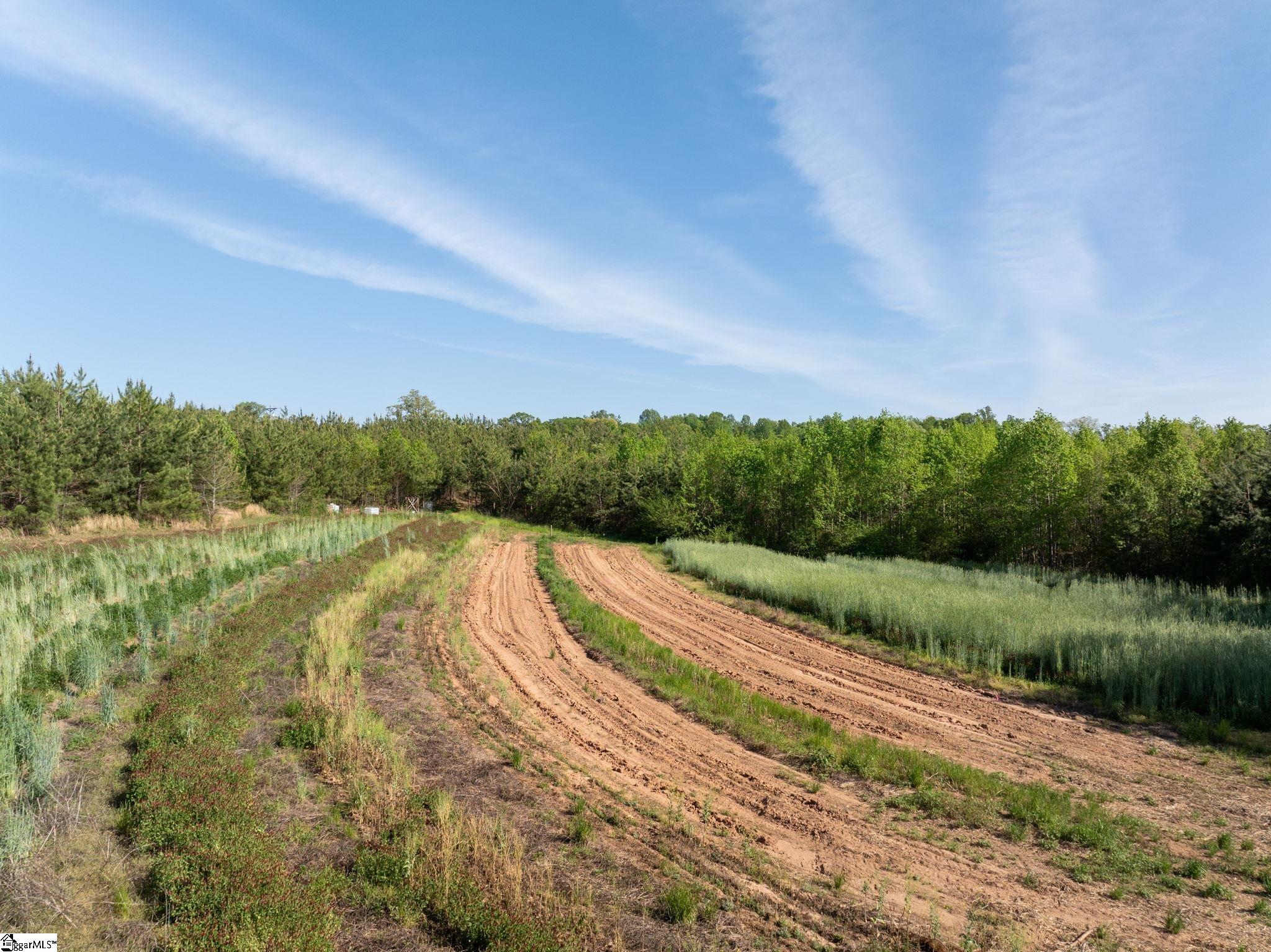 1254 Stribling Shoals Road Walhalla, SC 29691 - Photo 8 of 36