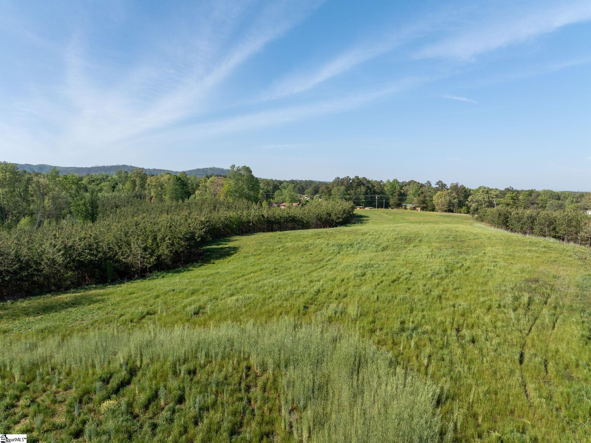 1254 Stribling Shoals Road Walhalla, SC 29691 - Photo 10 of 36