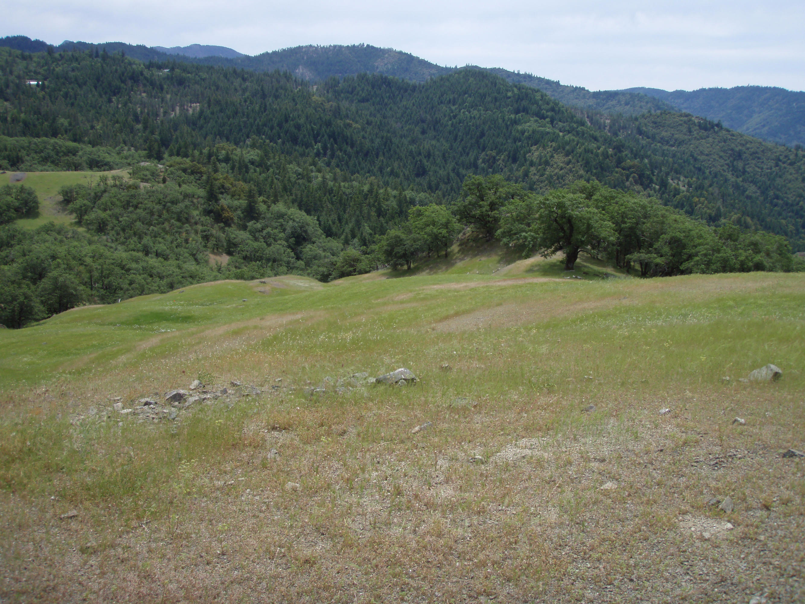 4750 Burr Valley Road Bridgeville, CA 95526 - Photo 31 of 52