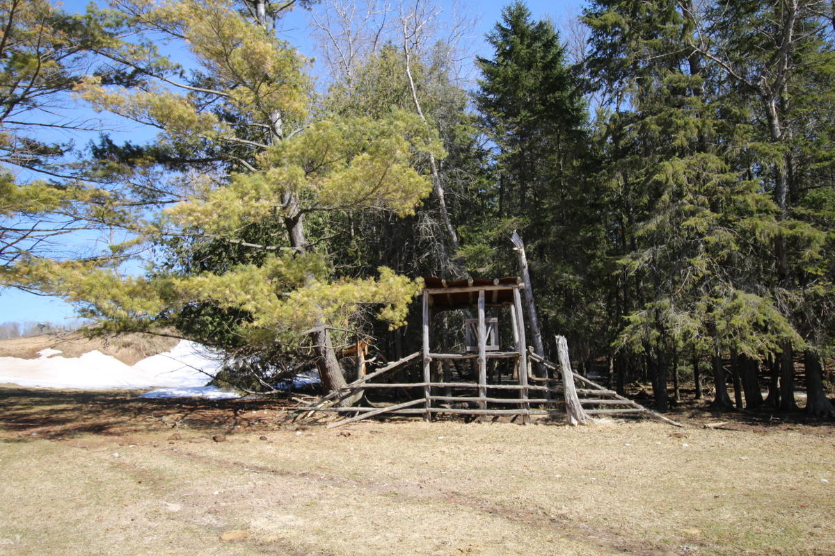 1154 Mann Road Cheboygan, MI 49721 - Photo 31 of 34 Gallery Image 31