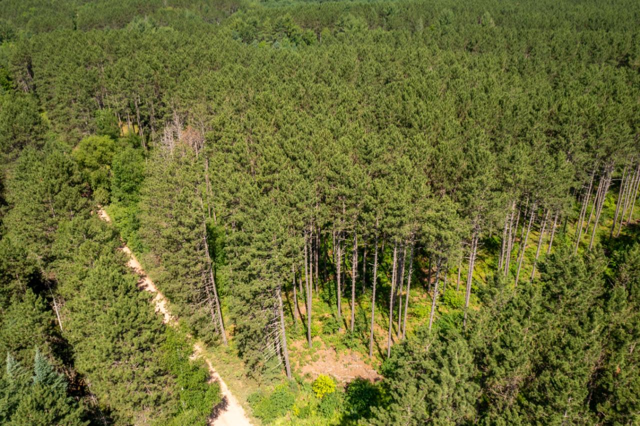 On North Forest Road Tomahawk, WI 54487 - Photo 11 of 18 Gallery Image 11