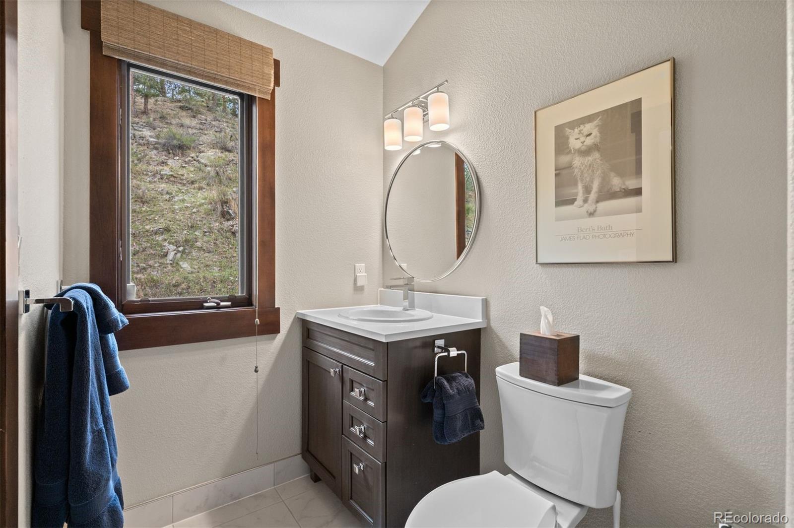 1733 Swede Gulch Road Evergreen, CO 80439 - Photo 25 of 50