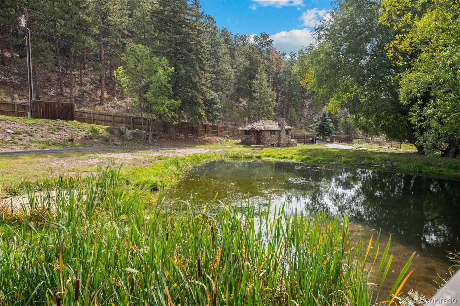 1733 Swede Gulch Road Evergreen, CO 80439 - Photo 46 of 50