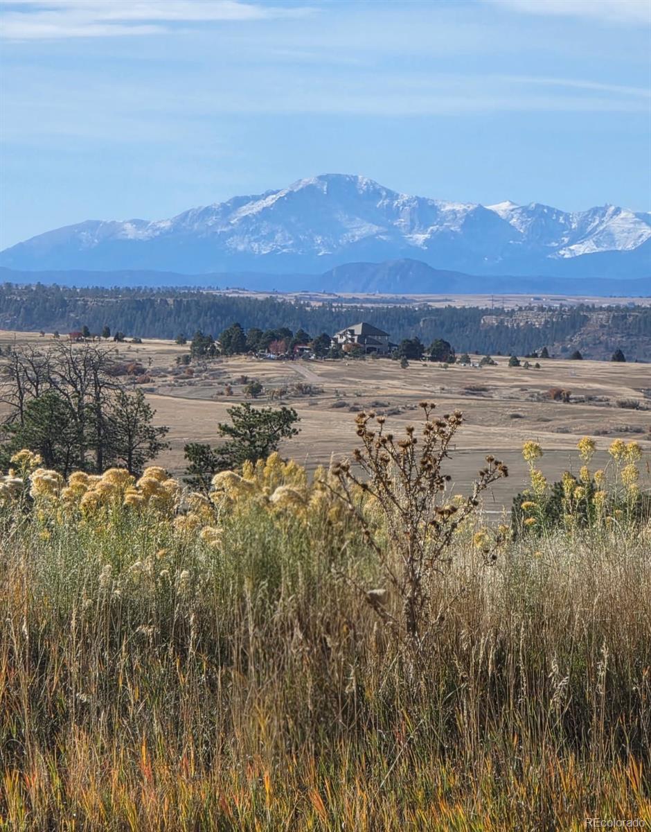 7928 Towhee Road Parker, CO 80134 - Photo 2 of 50