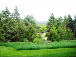 416 Lyman Batcheller Road, Unit 3A Hartford, VT 05059 - Photo 4 of 9 Gallery Image 4