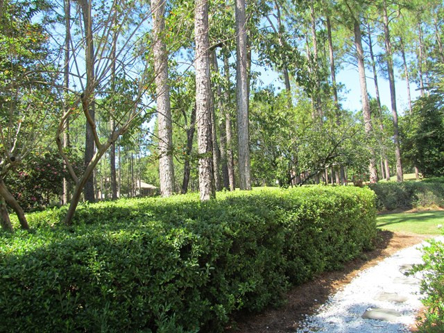 808 Holley Lake Road Aiken, SC 29803 - Photo 50 of 53 Gallery Image 50