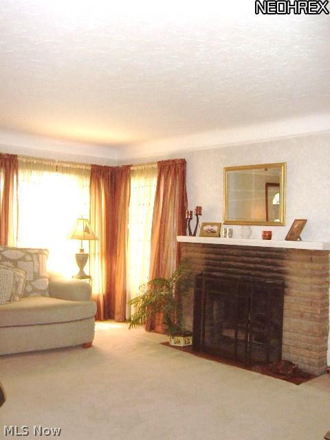 9239 Snow Road Cleveland, OH 44130 - Photo 10 of 24 All the window treatments stay!