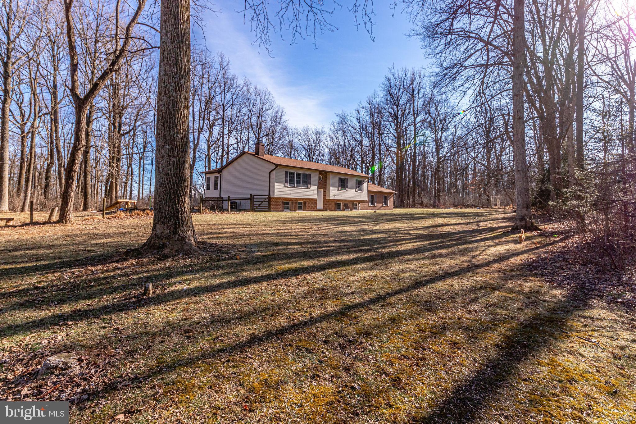 19680 Blue Ridge Mountain Road Bluemont, VA 20135 - Photo 2 of 71