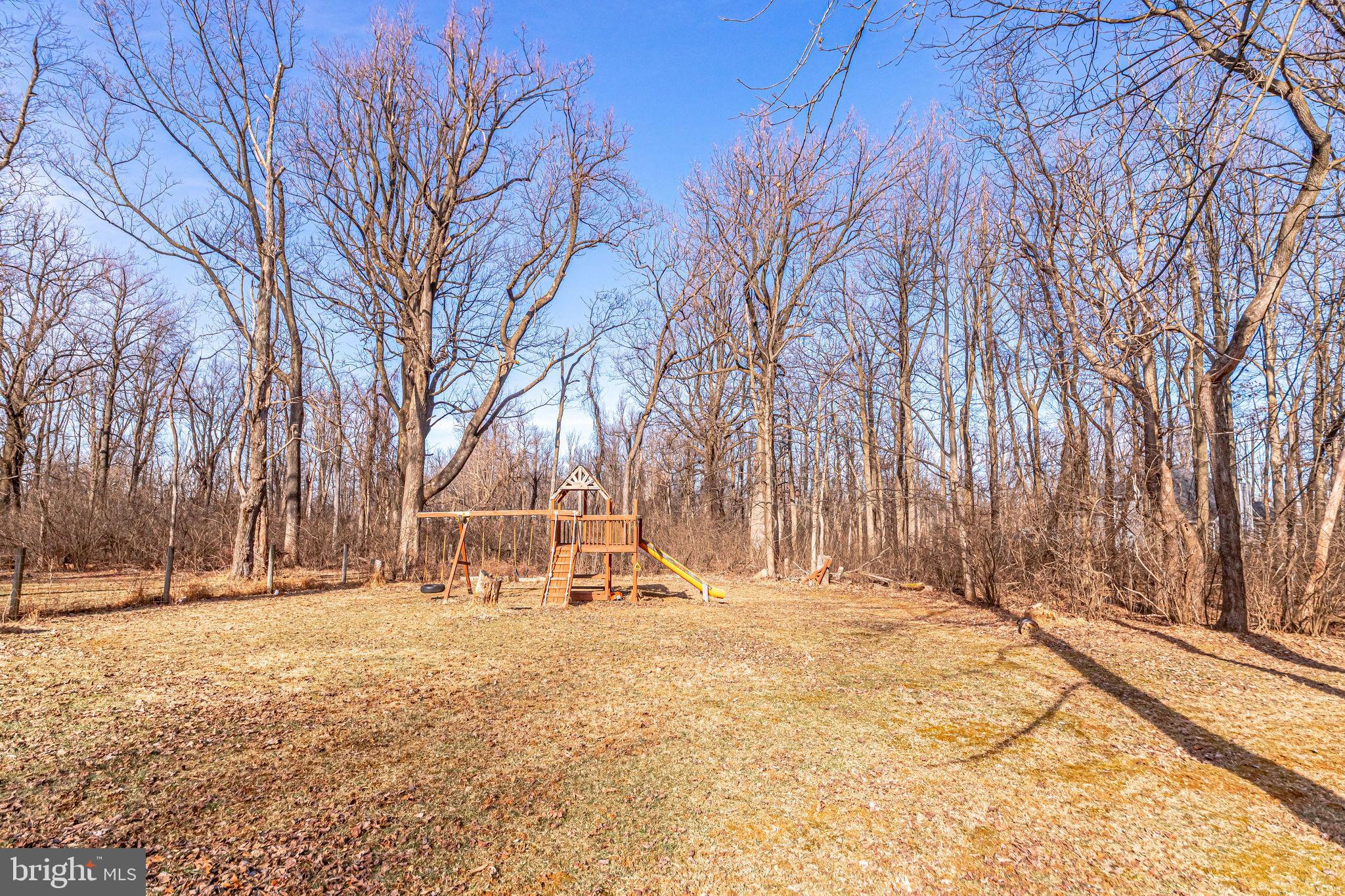19680 Blue Ridge Mountain Road Bluemont, VA 20135 - Photo 50 of 71