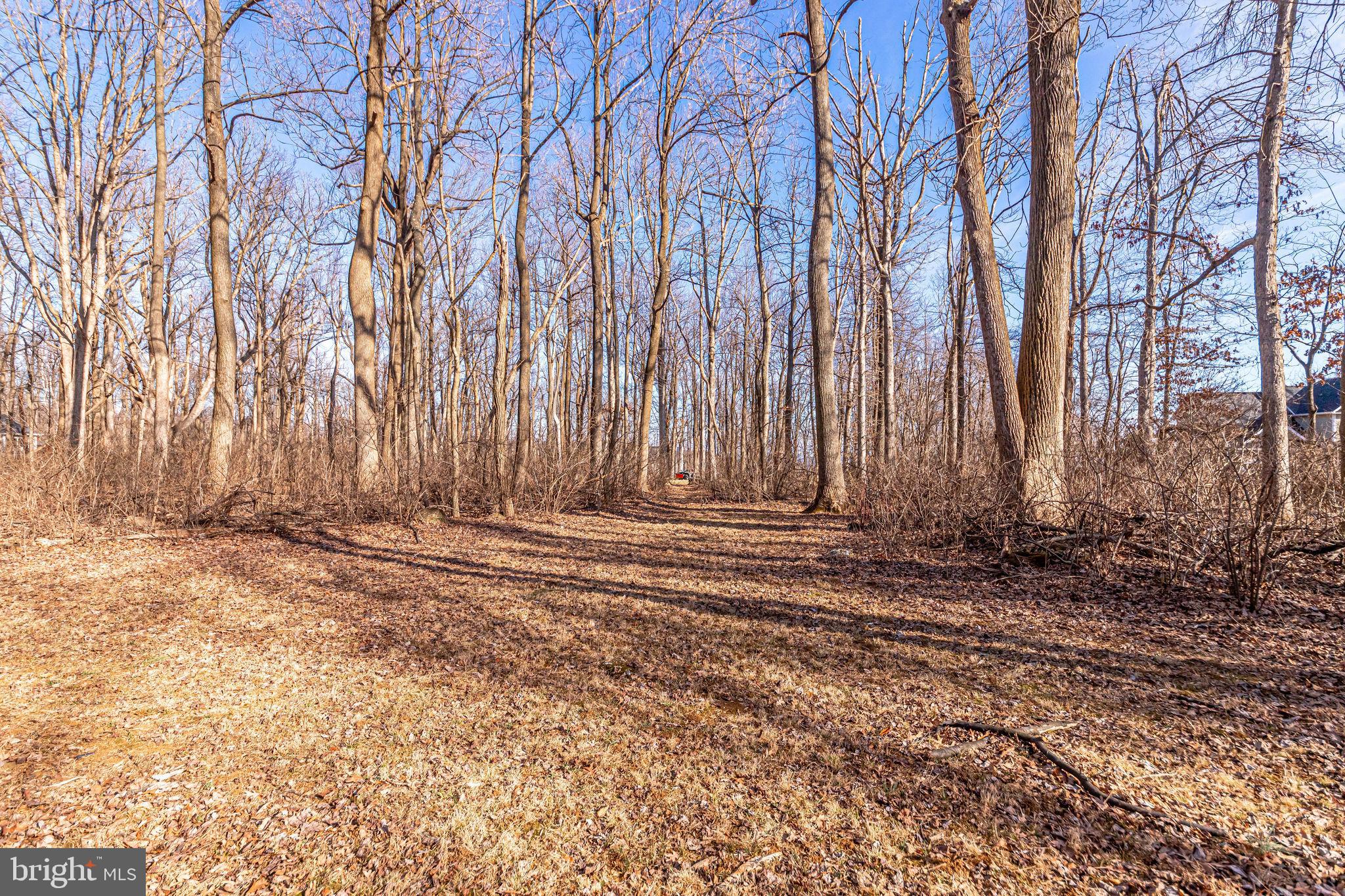 19680 Blue Ridge Mountain Road Bluemont, VA 20135 - Photo 52 of 71
