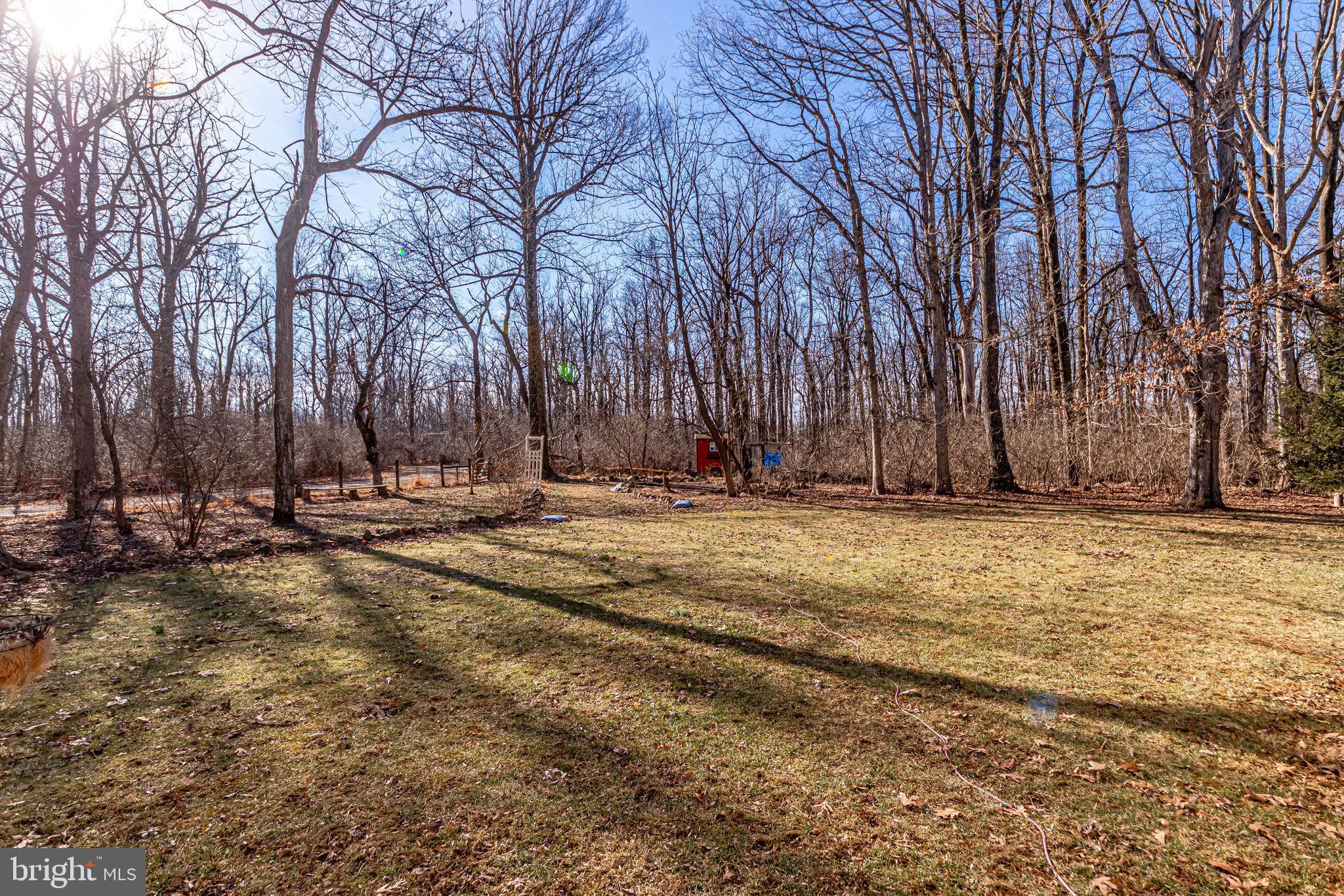 19680 Blue Ridge Mountain Road Bluemont, VA 20135 - Photo 58 of 71