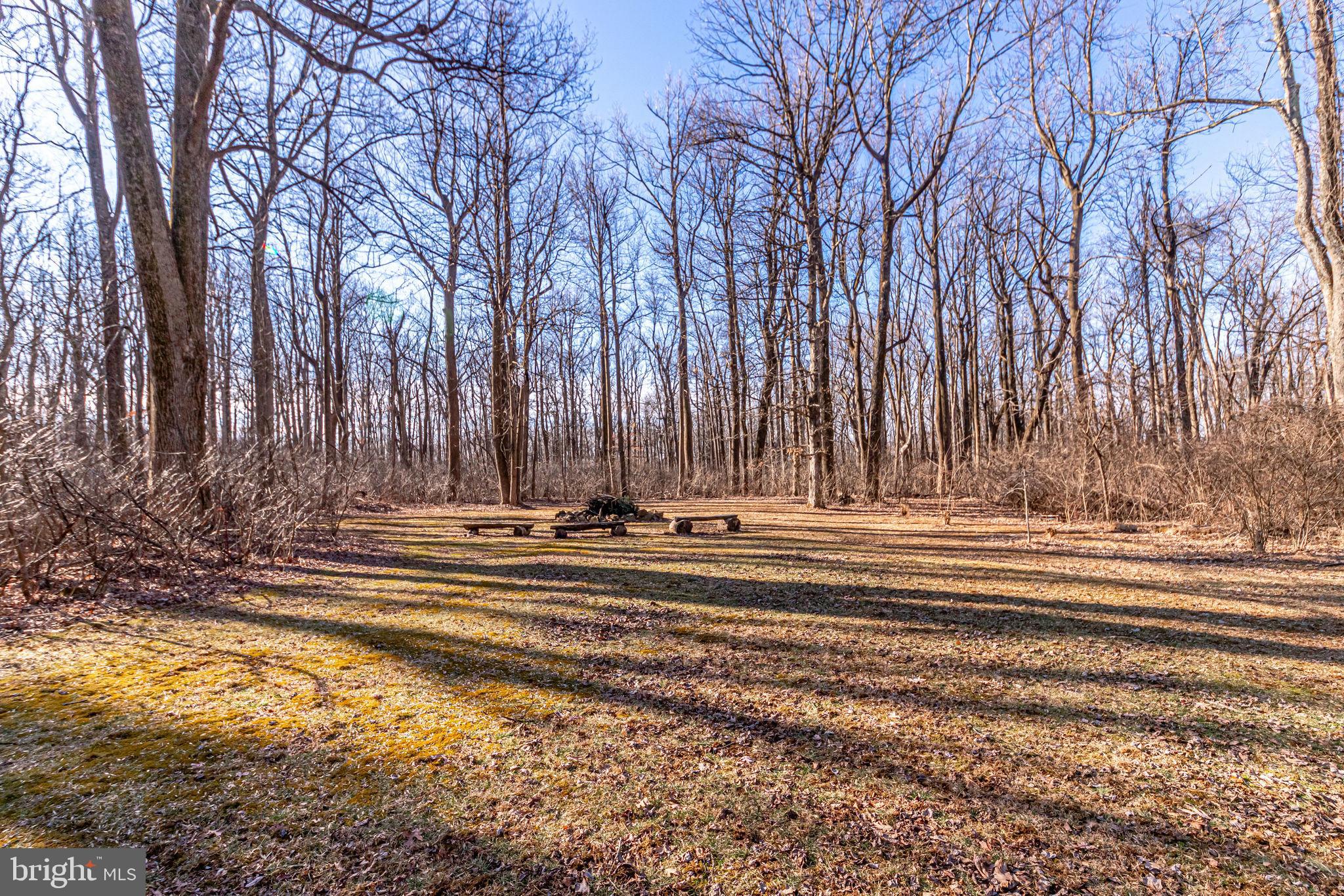 19680 Blue Ridge Mountain Road Bluemont, VA 20135 - Photo 67 of 71
