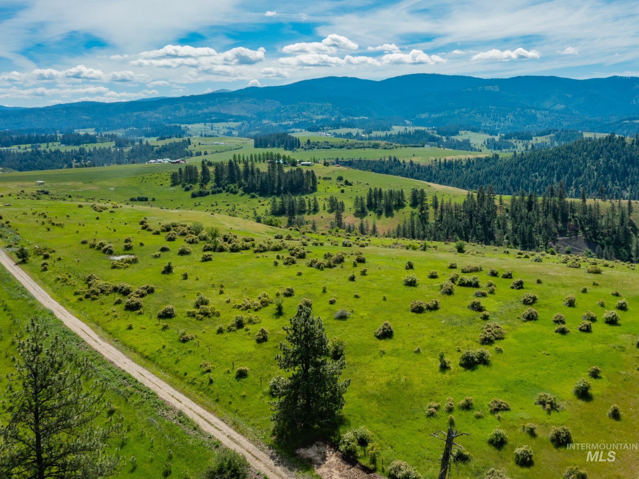 Tbd Brotnov Road Stites, ID 83552 - Photo 22 of 28