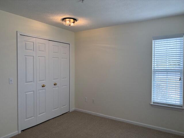 4303 Inverness Street Dexter, MI 48130 - Photo 16 of 24 Gallery Image 16