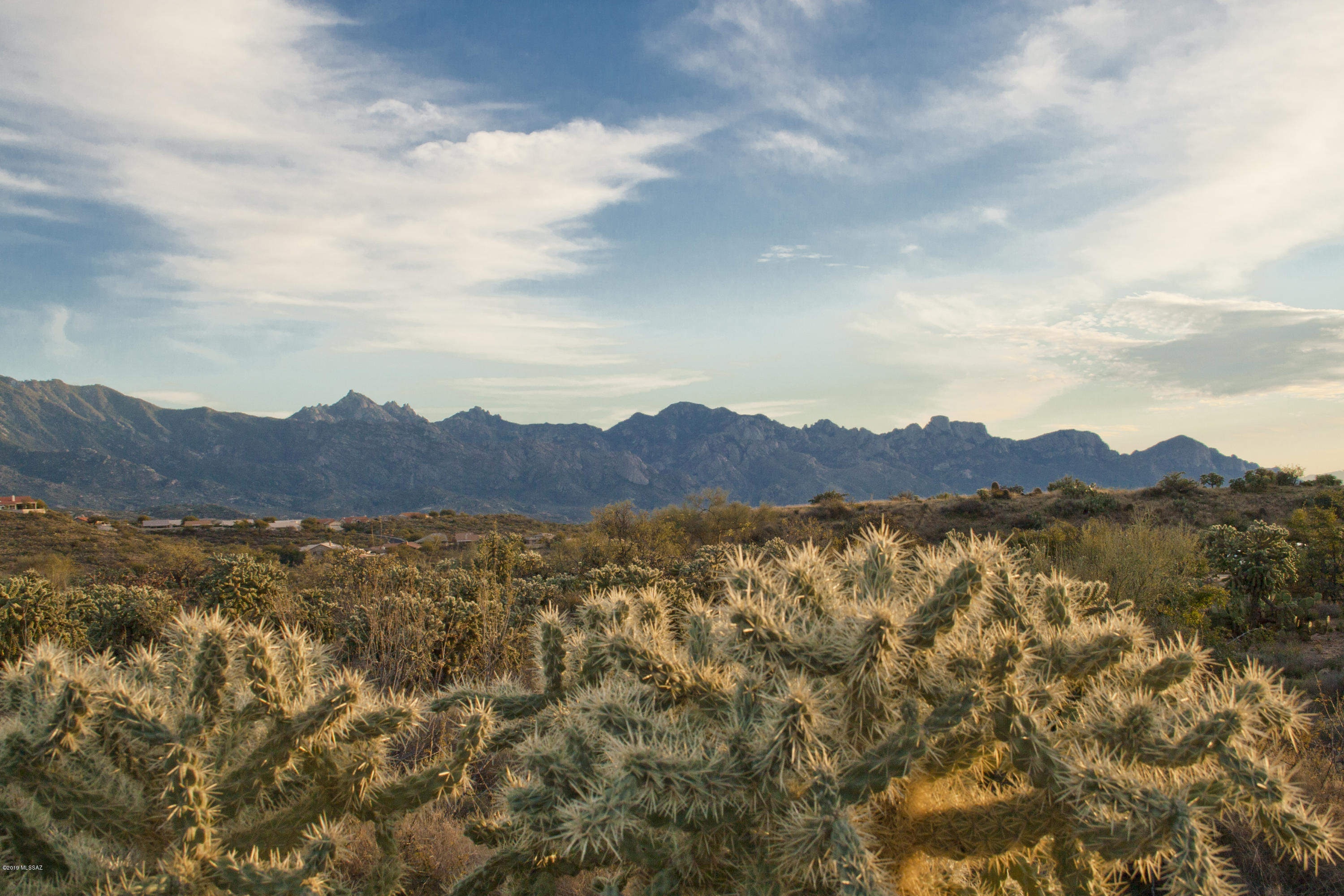 0 East Horseshoe Bend Road, Unit 2 Tucson, AZ 85739 - Photo 3 of 4