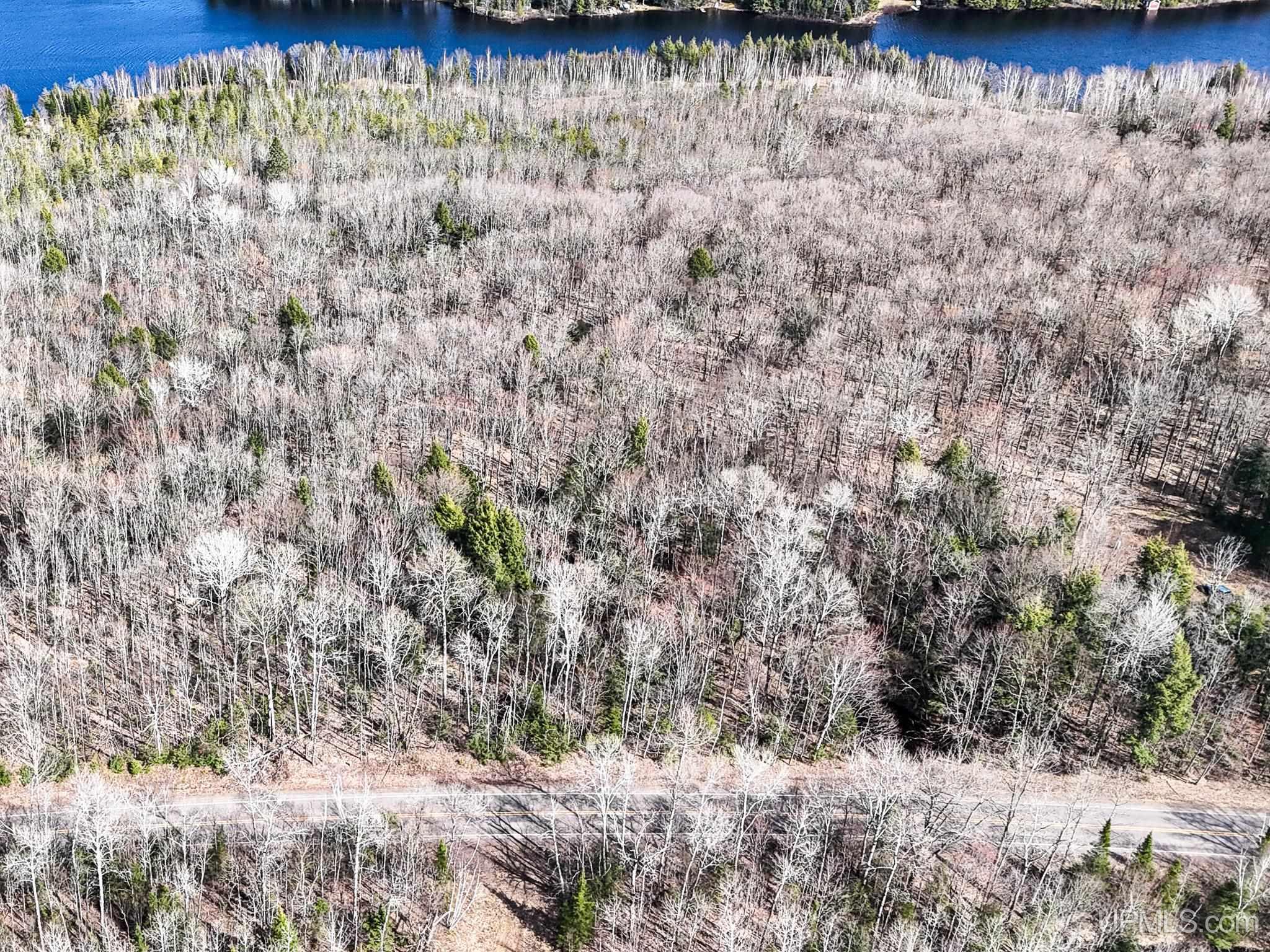 On On Chaney Lake Road Wakefield, MI 49968 - Photo 1 of 10