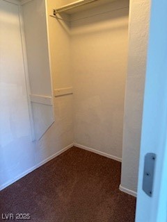 8870 South Carradori Avenue Las Vegas, NV 89148 - Photo 4 of 14 Spacious closet with dark colored carpet