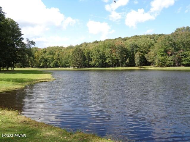 110 Bruin Road Lake Ariel, PA 18436 - Photo 42 of 48