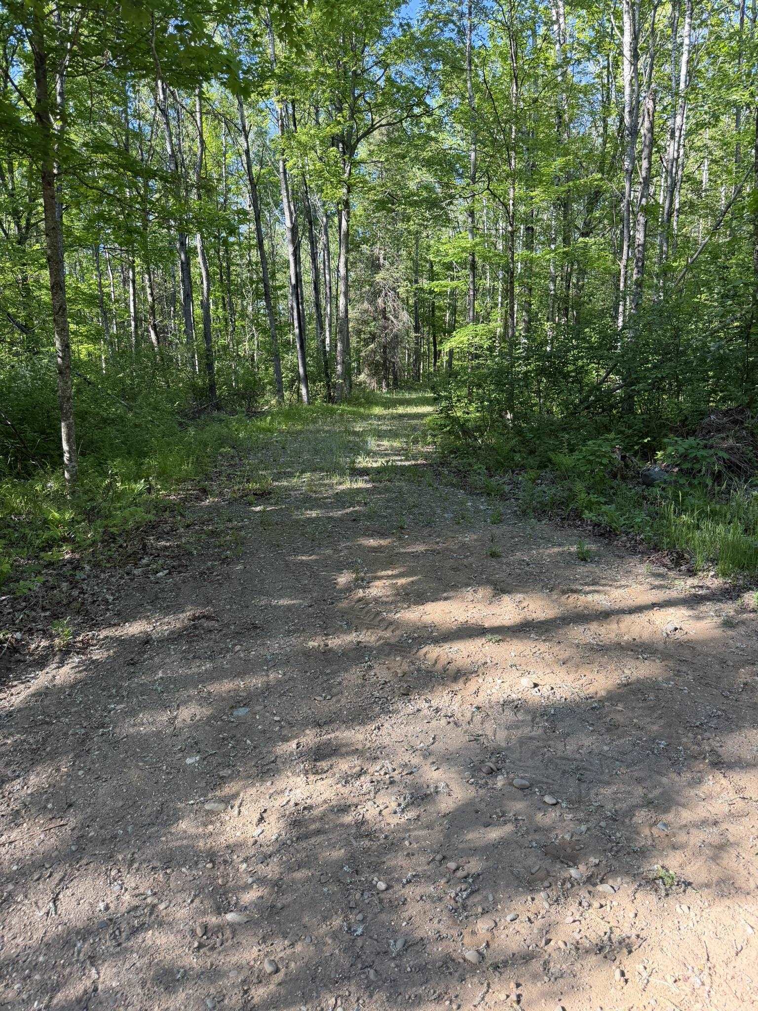 Dream Lake Road, Unit 2 Long Lake, WI 54542 - Photo 5 of 5