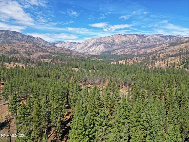 $329,000 | 555 Pleasant Valley Road, Markleeville, CA 96120