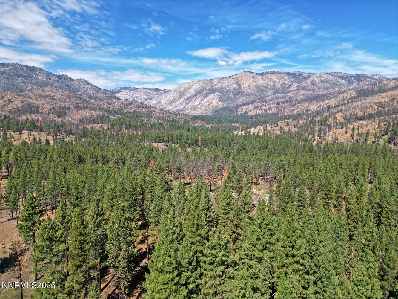 555 Pleasant Valley Road Markleeville, CA 96120 - Photo 36 of 36 555 Pleasant Valley Rd-large-031-029-Ele