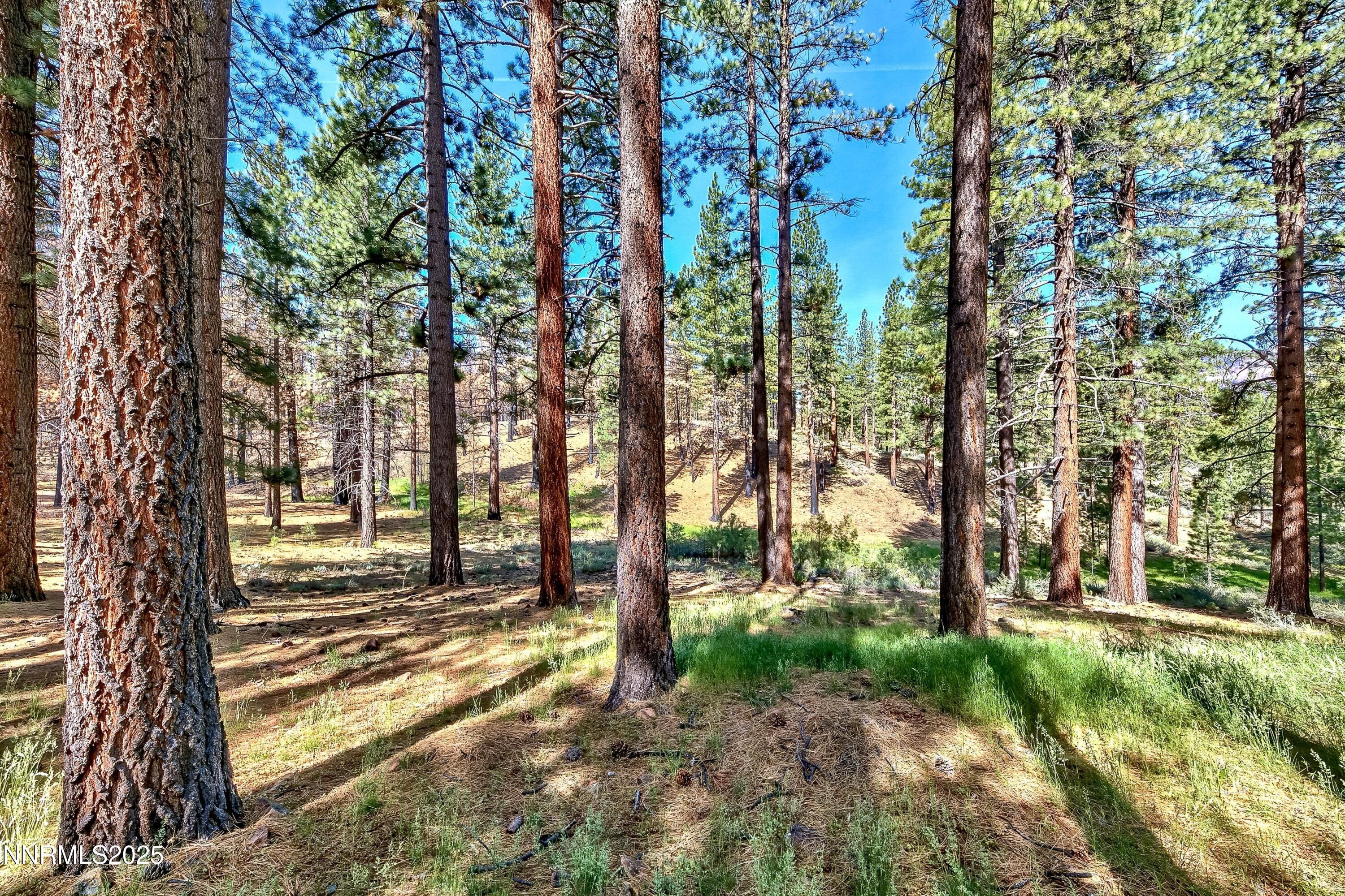 555 Pleasant Valley Road Markleeville, CA 96120 - Photo 6 of 36 a06