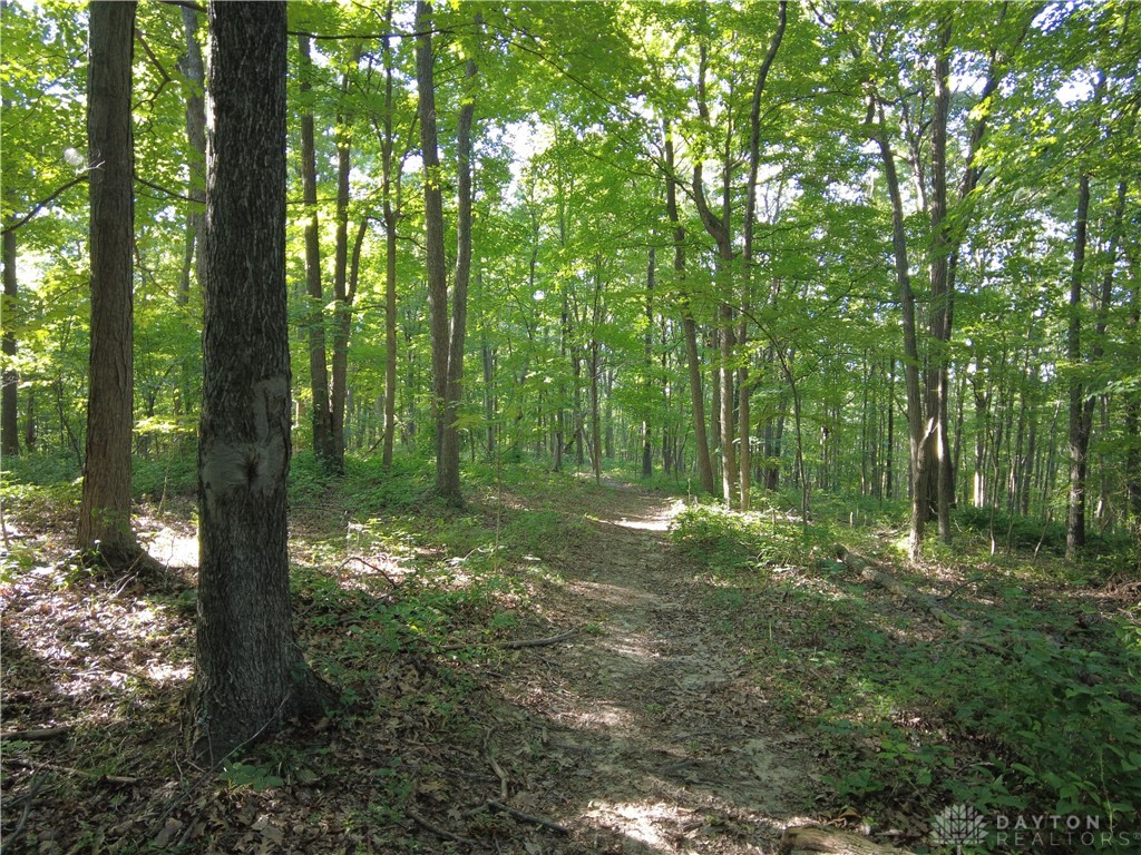 1674 Beavers Ridge Road Peebles, OH 45660 - Photo 11 of 18