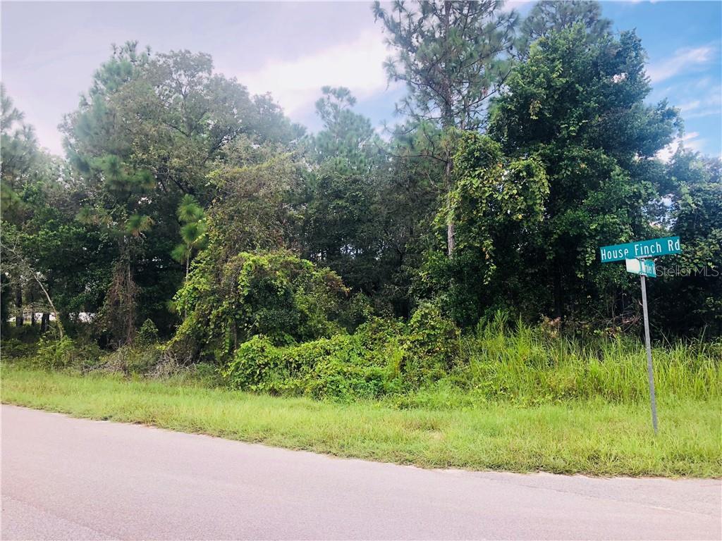 12330 House Finch Road Weeki Wachee, FL 34614 - Photo 1 of 1 Gallery Image 1