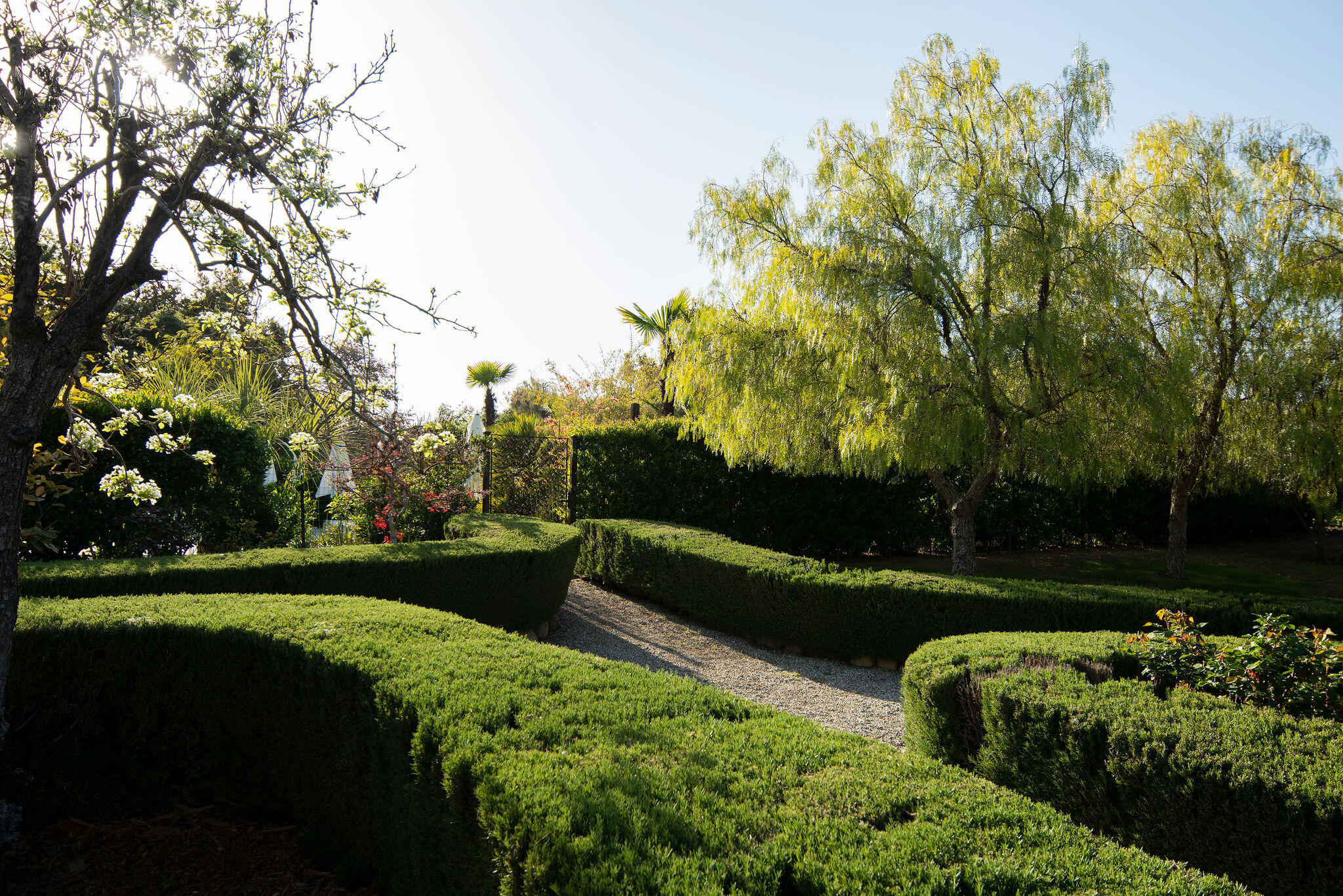 0 San Antonio Street Ojai, CA 93023 - Photo 32 of 73 a view of a garden with a bench in a garden