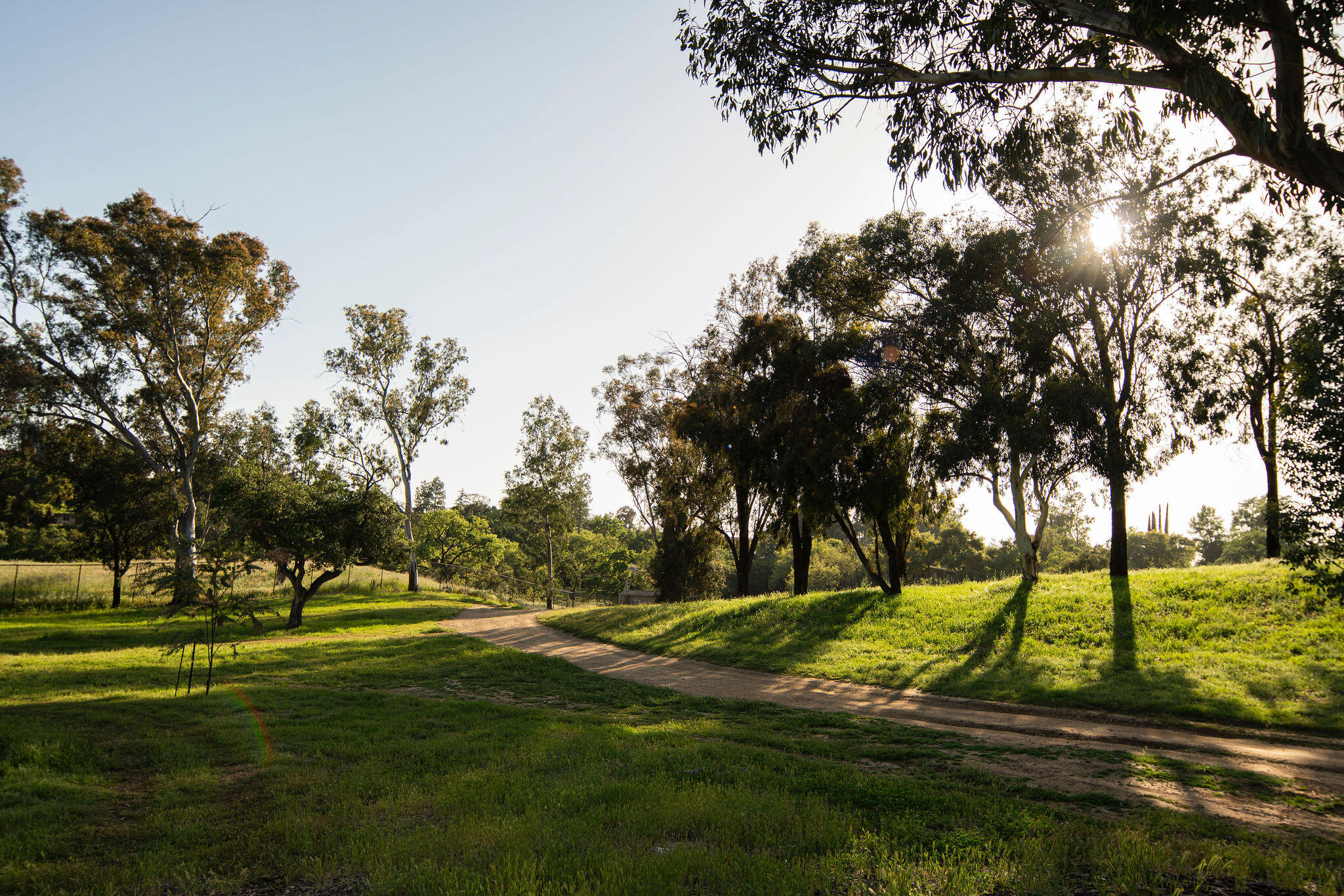 0 San Antonio Street Ojai, CA 93023 - Photo 51 of 73 Setting