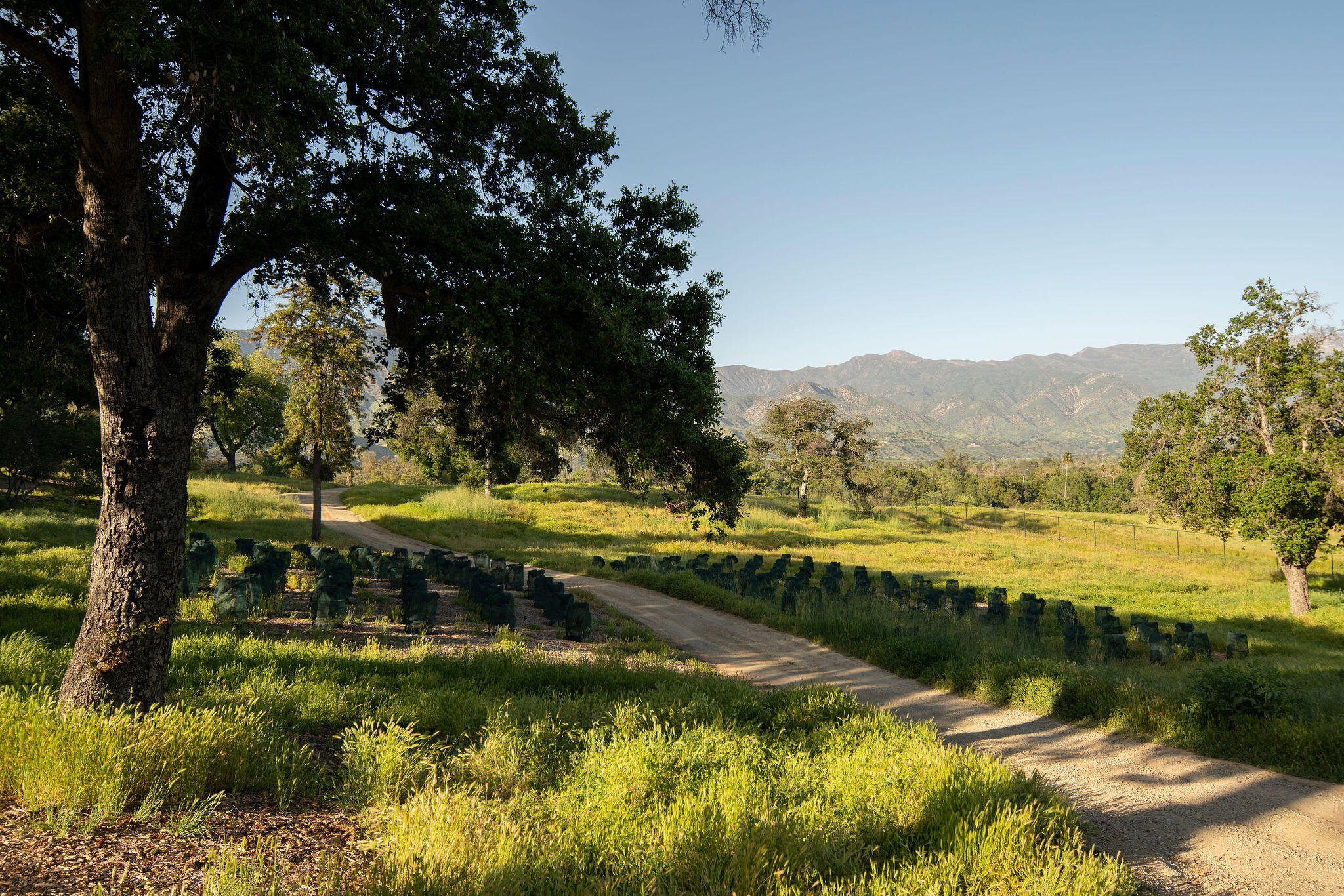 0 San Antonio Street Ojai, CA 93023 - Photo 67 of 73 a view of swimming pool and mountain