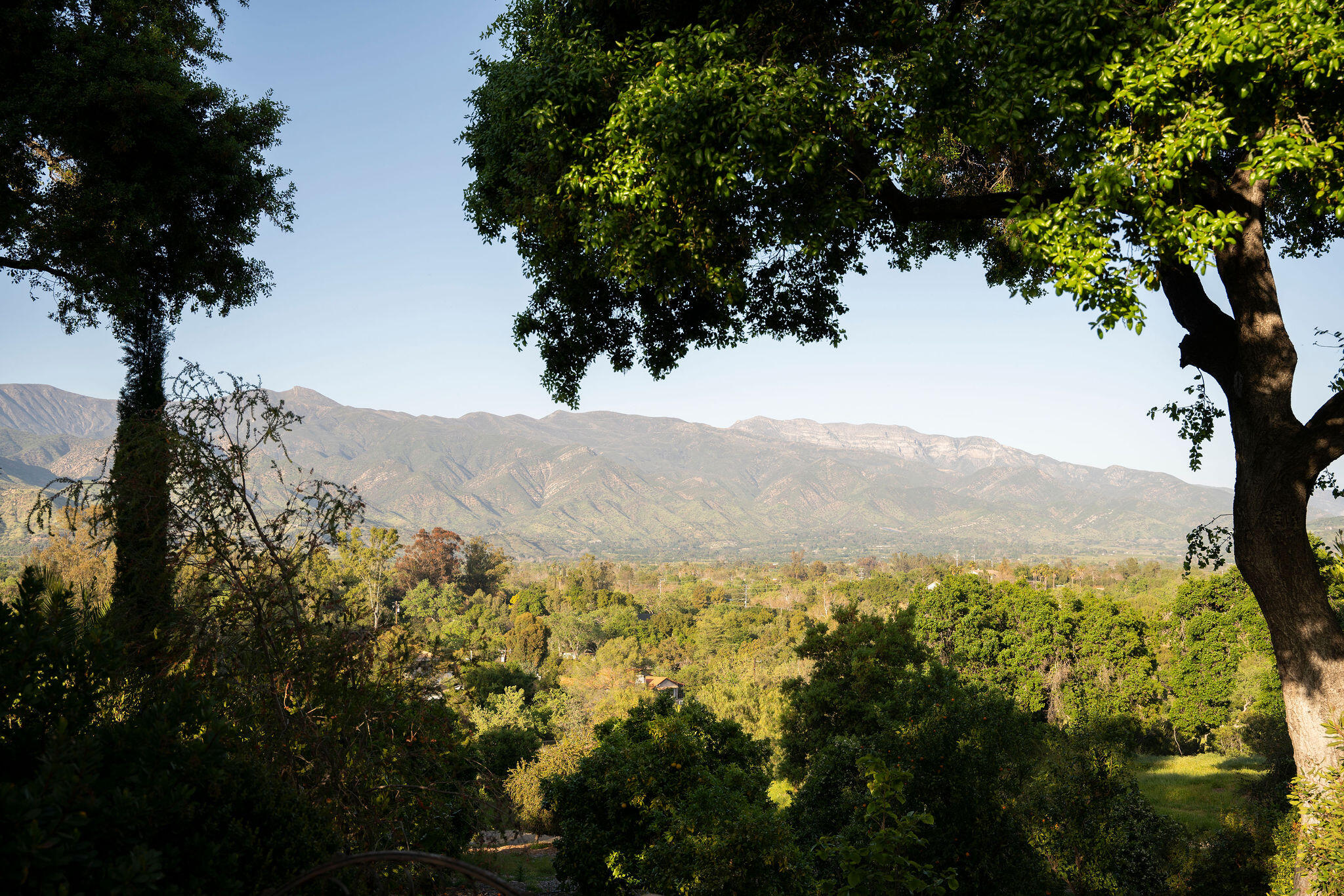 0 San Antonio Street Ojai, CA 93023 - Photo 70 of 73 a view of a mountain with a tree in the background
