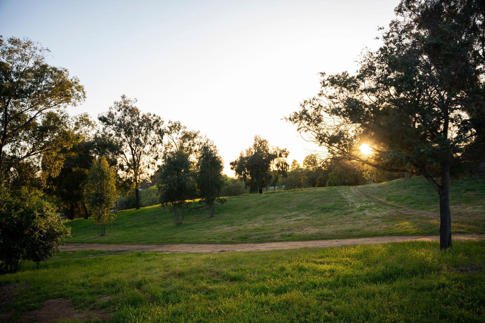 0 San Antonio Street Ojai, CA 93023 - Photo 72 of 73 a view of a field with a tree