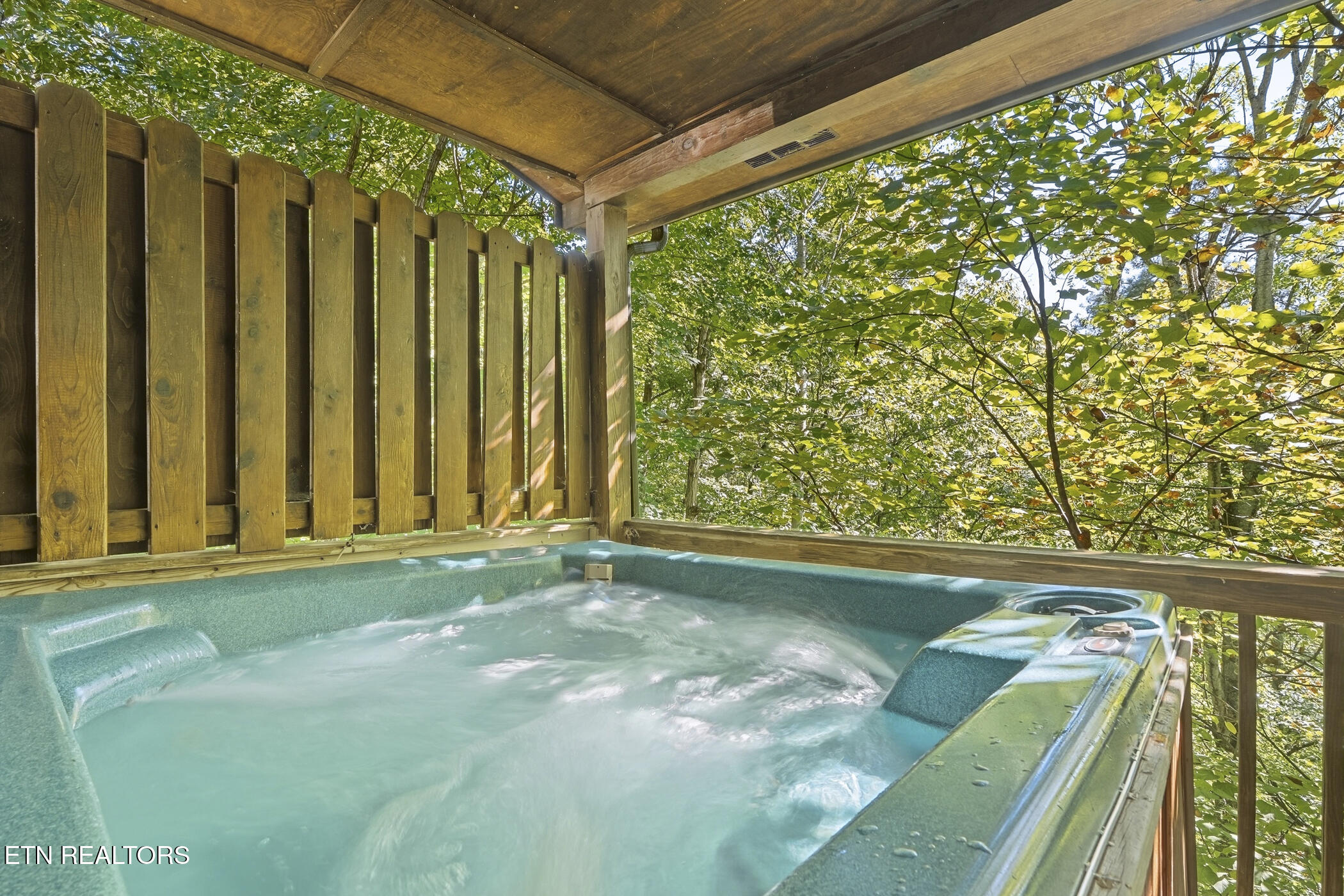 1660 Raccoon Den Way Sevierville, TN 37862 - Photo 25 of 52 dsc03187
