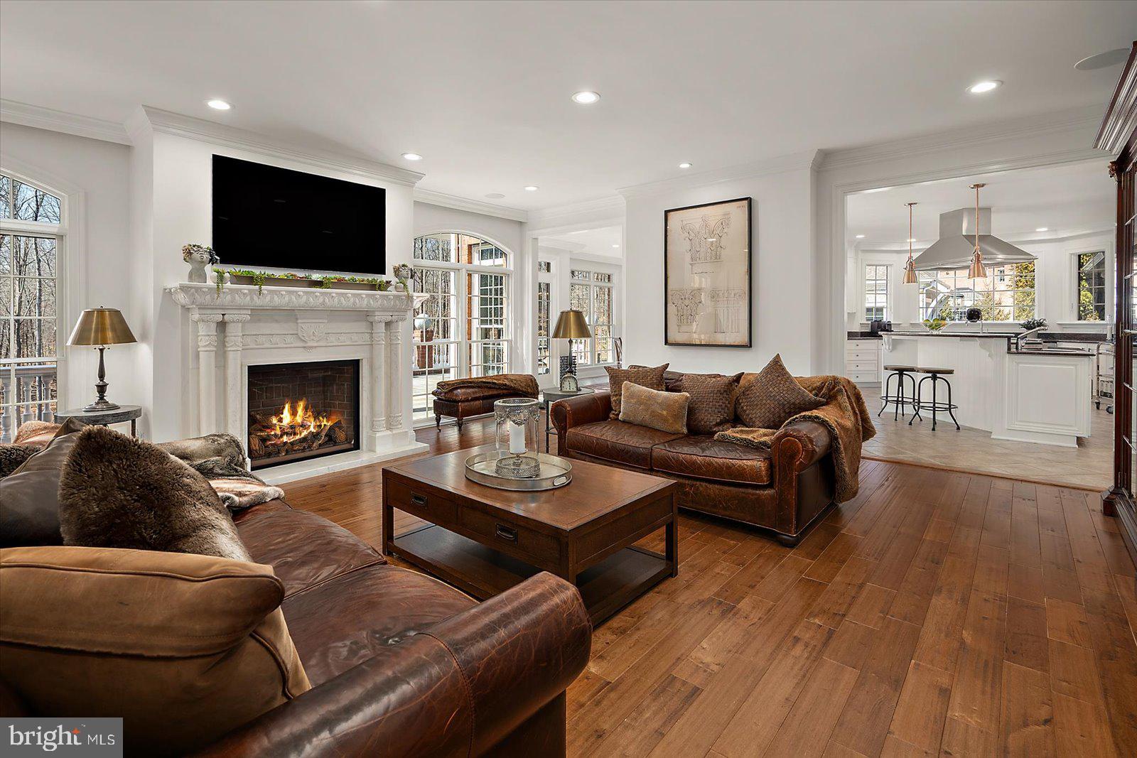 17 Perder Lane Edgewater, MD 21037 - Photo 13 of 115 a living room with furniture fireplace and flat screen tv