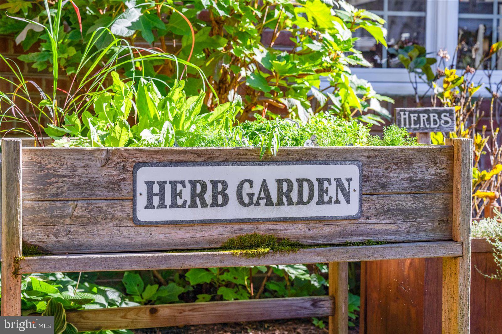 17 Perder Lane Edgewater, MD 21037 - Photo 83 of 115 Wellness is part of everyday life, herb garden