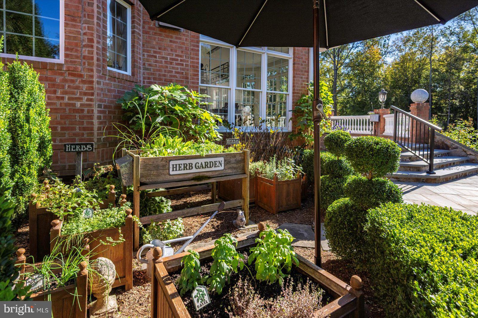 17 Perder Lane Edgewater, MD 21037 - Photo 84 of 115 a view of a garden with plants