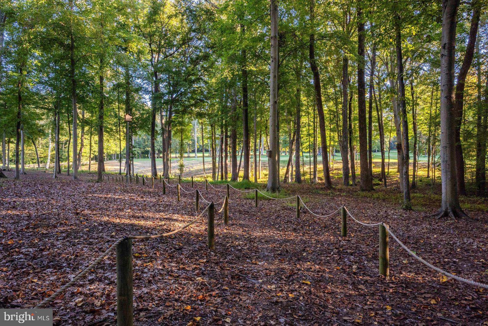 17 Perder Lane Edgewater, MD 21037 - Photo 89 of 115 a view of outdoor space with deck and yard