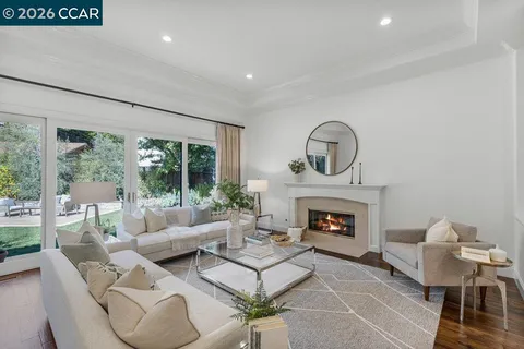 a living room with furniture a fireplace and a potted plant