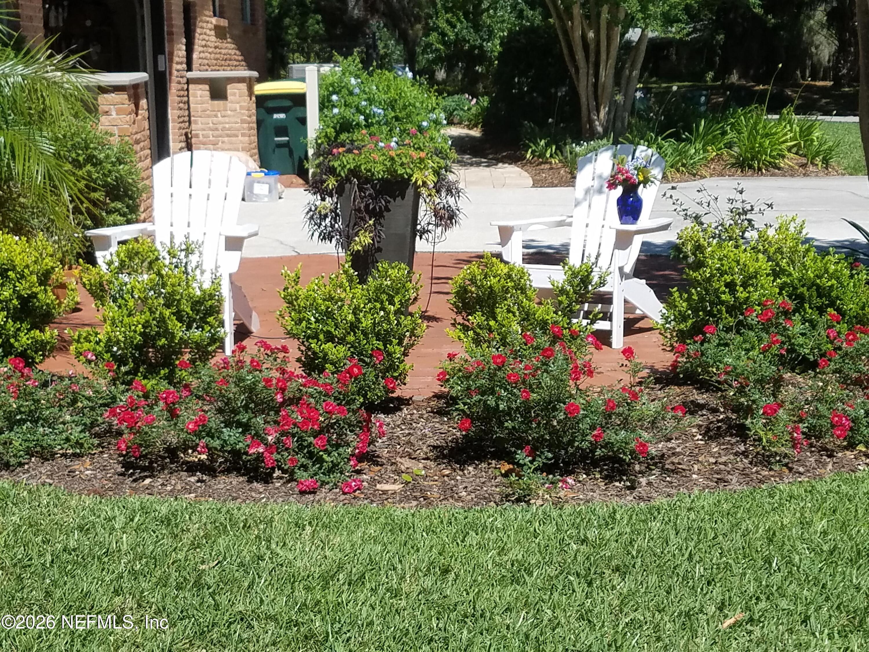 8349 Kim Road Jacksonville, FL 32217 - Photo 59 of 73 Drift Rose garden