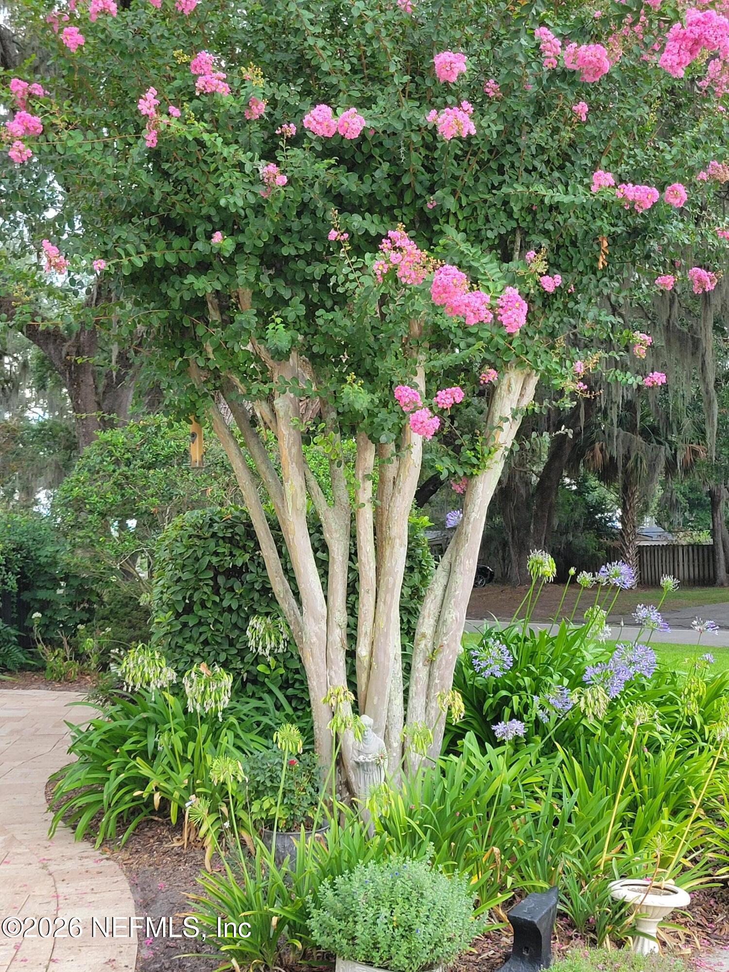 8349 Kim Road Jacksonville, FL 32217 - Photo 60 of 73 Crepe Murtle