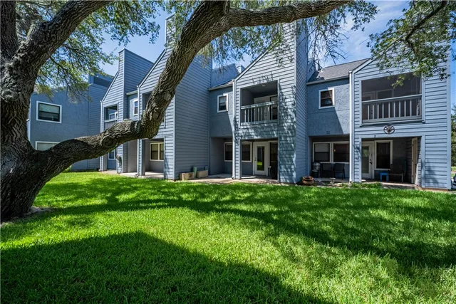 a backyard of a house with plants and large tree