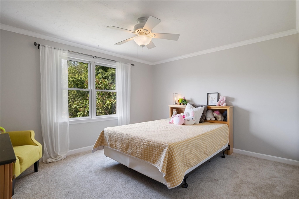 5 Blanchard Road Grafton, MA 01519 - Photo 28 of 42 Gallery Image 28