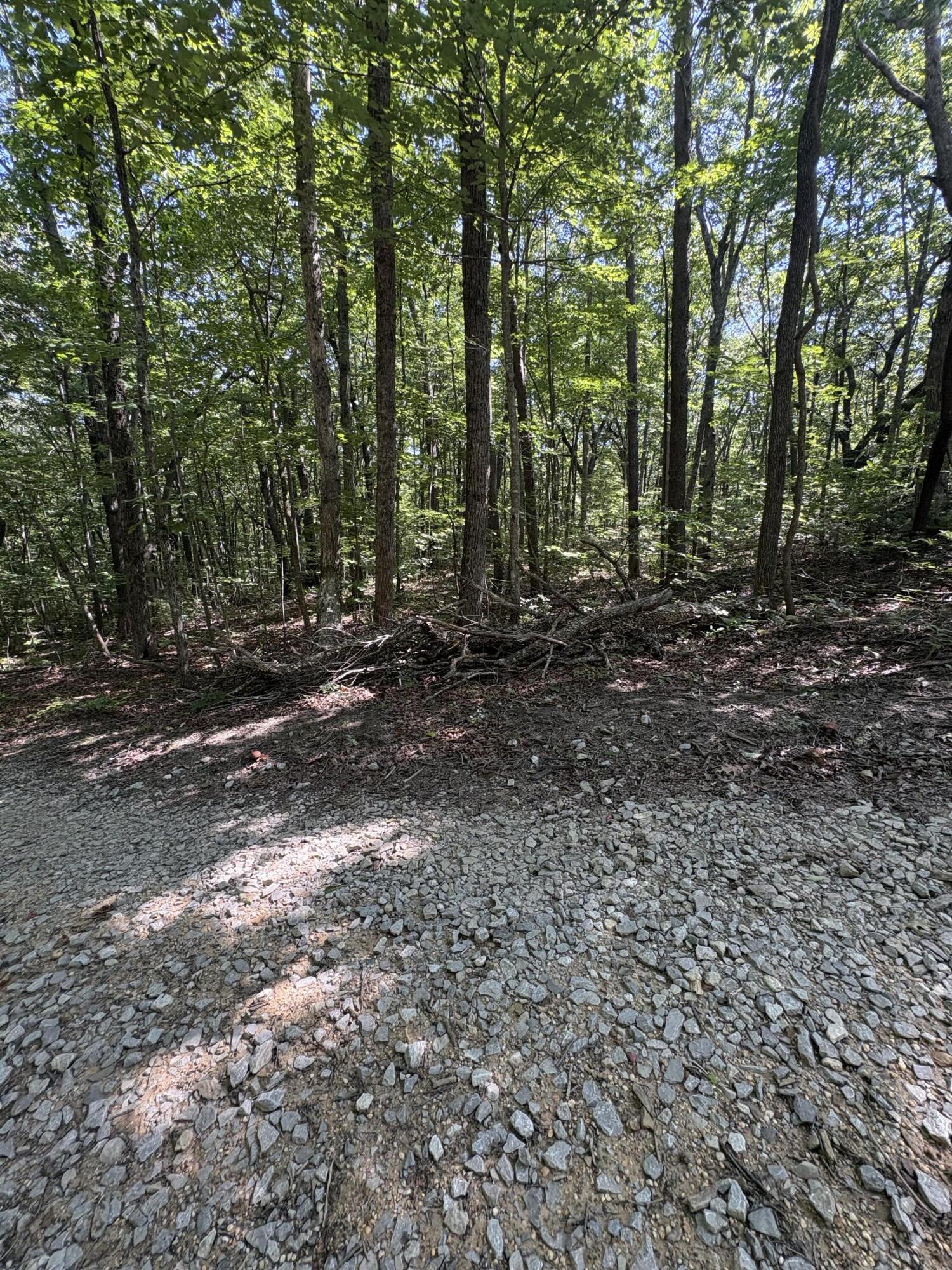 474 Mud Road Graysville, TN 37338 - Photo 32 of 36 Mud Rd