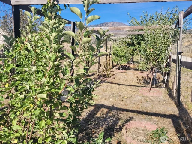 a view of a road with an ocean view
