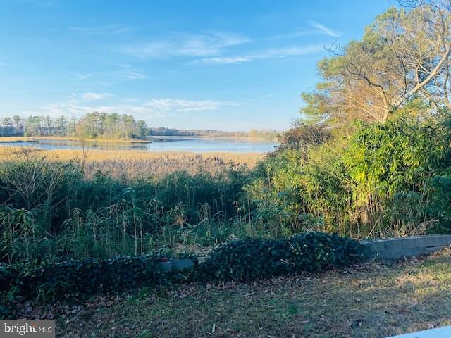 27839 Possum Point Road Millsboro, DE 19966 - Photo 3 of 23 Gallery Image 3