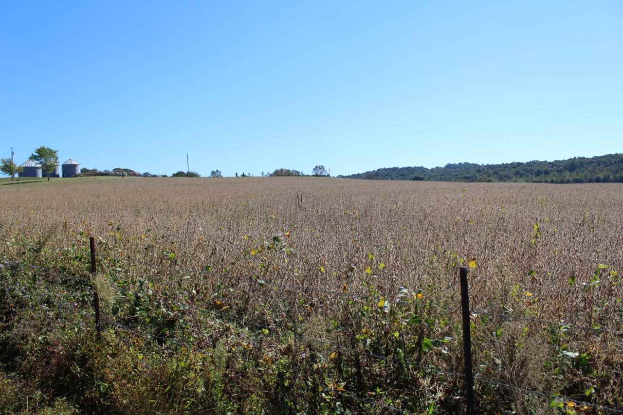 Amber White Road Bowling Green, KY 42101 - Photo 5 of 20 Gallery Image 5